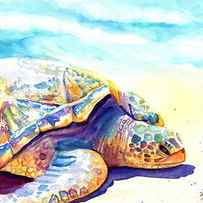 Sunbathing Turtle 6 by Marionette Taboniar