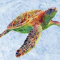 Turtle Reflections on Blue by Hailey E Herrera