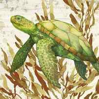 Calypso Turtles Vertical II by Paul Brent