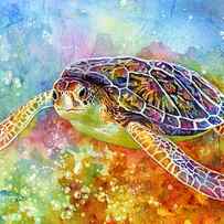 Sea Turtle 3 by Hailey E Herrera