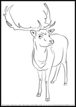 How to Draw a Reindeer