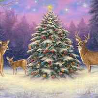 Christmas Deer by Chuck Pinson