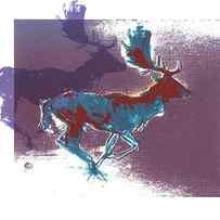 Fallow Bucks by Mark Adlington