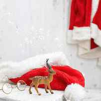 Reindeer With Santa Hat by Amanda Elwell