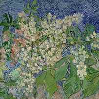 Blossoming Chestnut Branches by Vincent Van Gogh