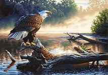 Dimensions Eagle Hunter Paint By Number Kit #91379