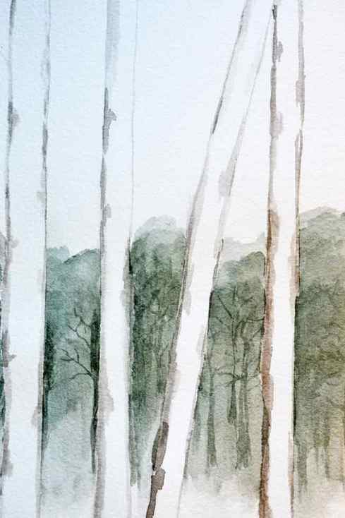 how-to-paint-birch-trees