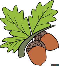 How to Draw Acorns Featured Image