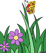 How to Draw a Butterfly Garden Featured Image