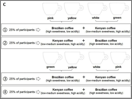 Figure 2: Procedure of Experiment 3