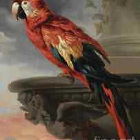 Parrot by Rubens by Rubens