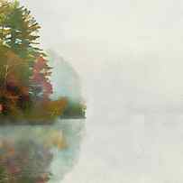 Foggy Morning by AM FineArtPrints
