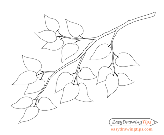 Branch with leafs outline drawing