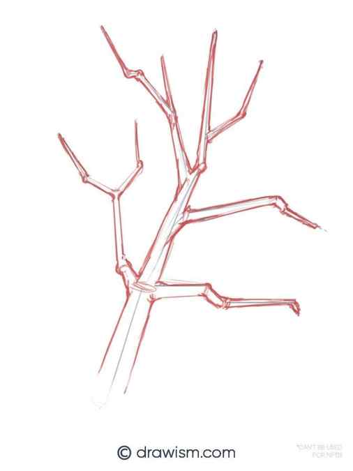 How to Start Drawing a Simple Tree Branch Free Hand Sketch 3