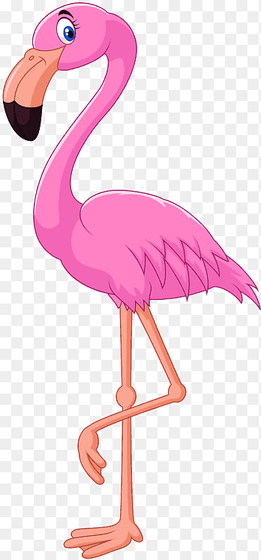 Cartoon Flamingo Bird Illustration, Flamingo, animals, vertebrate png thumbnail