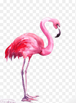 Flamingo Watercolor painting, Flamingos, pink flamingo illustration, painted, animals png thumbnail