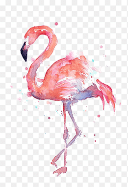 T-shirt Paper Flamingo Watercolor painting Printmaking, Drawing Flamingos, Flamingo painting, animals, literature And Art png thumbnail