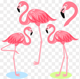 Flamingo Bird Illustration, Cartoon Flamingo, four pink flamingos illustration, cartoon Character, cartoon Arms png thumbnail
