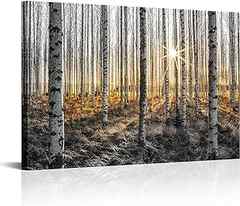 Sponsored Ad - Artsbay White Birch Trees Pictures Autumn Forest at Golden Sunset Landscape Prints on Canvas Wall Art Natur. 