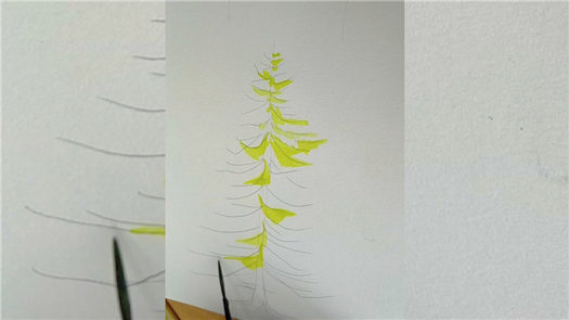 How to draw a pine tree step by step tutorial easy for begginer,come to see my online class