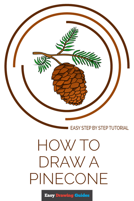 How to Draw a Pinecone Pinterest Image