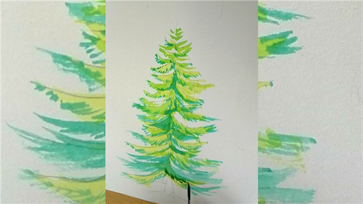 How to draw a pine tree step by step tutorial easy for begginer,come to see my online class