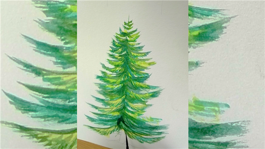 How to draw a pine tree step by step tutorial easy for begginer,come to see my online class