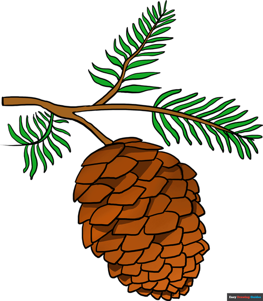 How to Draw a Pinecone Featured Image