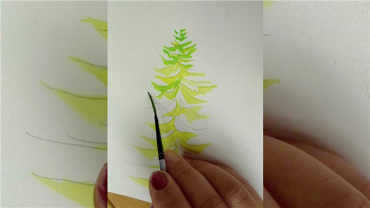 How to draw a pine tree step by step tutorial easy for begginer,come to see my online class
