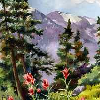 Indian Paintbrush by Anne Gifford