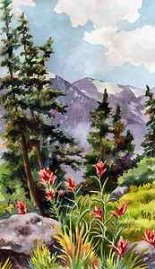 Wall Art - Painting - Indian Paintbrush by Anne Gifford