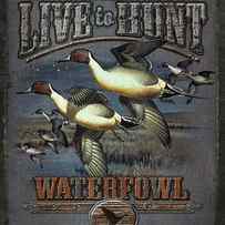 Live to Hunt Pintails by JQ Licensing