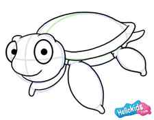 How to draw a sea turtle