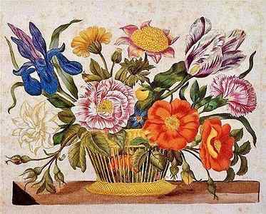 Wall Art - Drawing - Maria Sibylla Merian Floral Artwork by Steeve. E. Flowers.