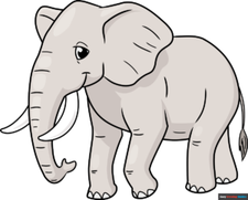 how to draw an elephant featured image