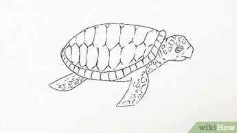 Step 8 Sketch out small square patterns on the turtle’s body.