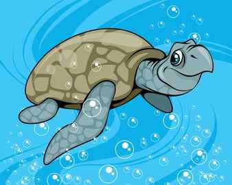 Vector illustration of a cartoon waterfowl turtle