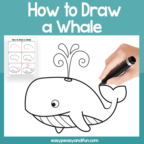 How to Draw a Whale