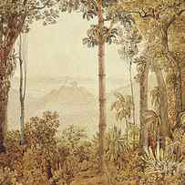View overlooking Rio de Janeiro from the Tijuca forest by Thomas Ender