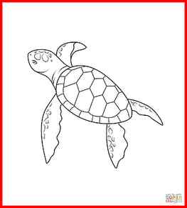 Awesome Sea Turtle Drawing Easy Cute Note Info Pict For Ideas, Cute Cartoon Turtle HD phone wallpaper