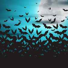 Halloween Full Moon Night And Bats spooky Background, Creepy Silhouettes Of Bats by Mounir Khalfouf