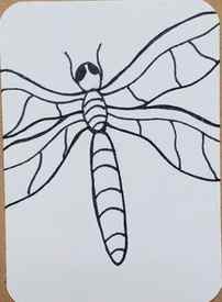 Dragonfly-Outline