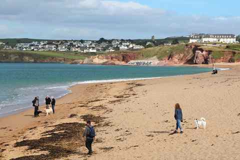 South Milton dog friendly beach