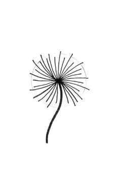 How to draw a dandelion Step 4 - draw lines from the center outwards