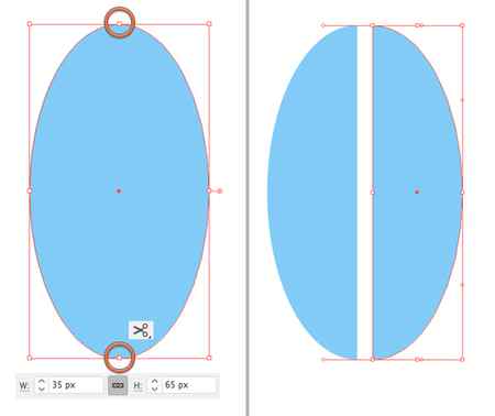 how to draw a whale vector