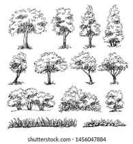 Hand sketch the landscape with tree Royalty Free Vector