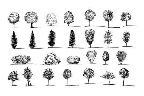 Trees quick sketches Tree drawings pencil Landscape sketch Tree drawing