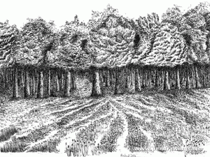 How To Draw and Shade A Tree In A Beautiful Landscape With PENCIL Step by Step YouTube