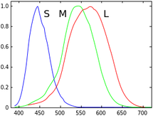 Wavelength per photoreceptor