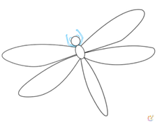 How to draw dragonfly